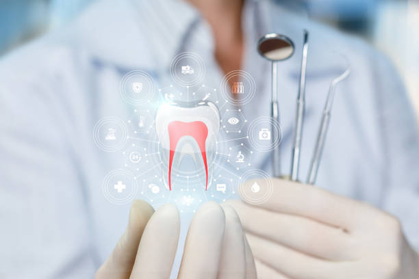 Reliable Belleair Bluffs, FL Dental Services Solutions